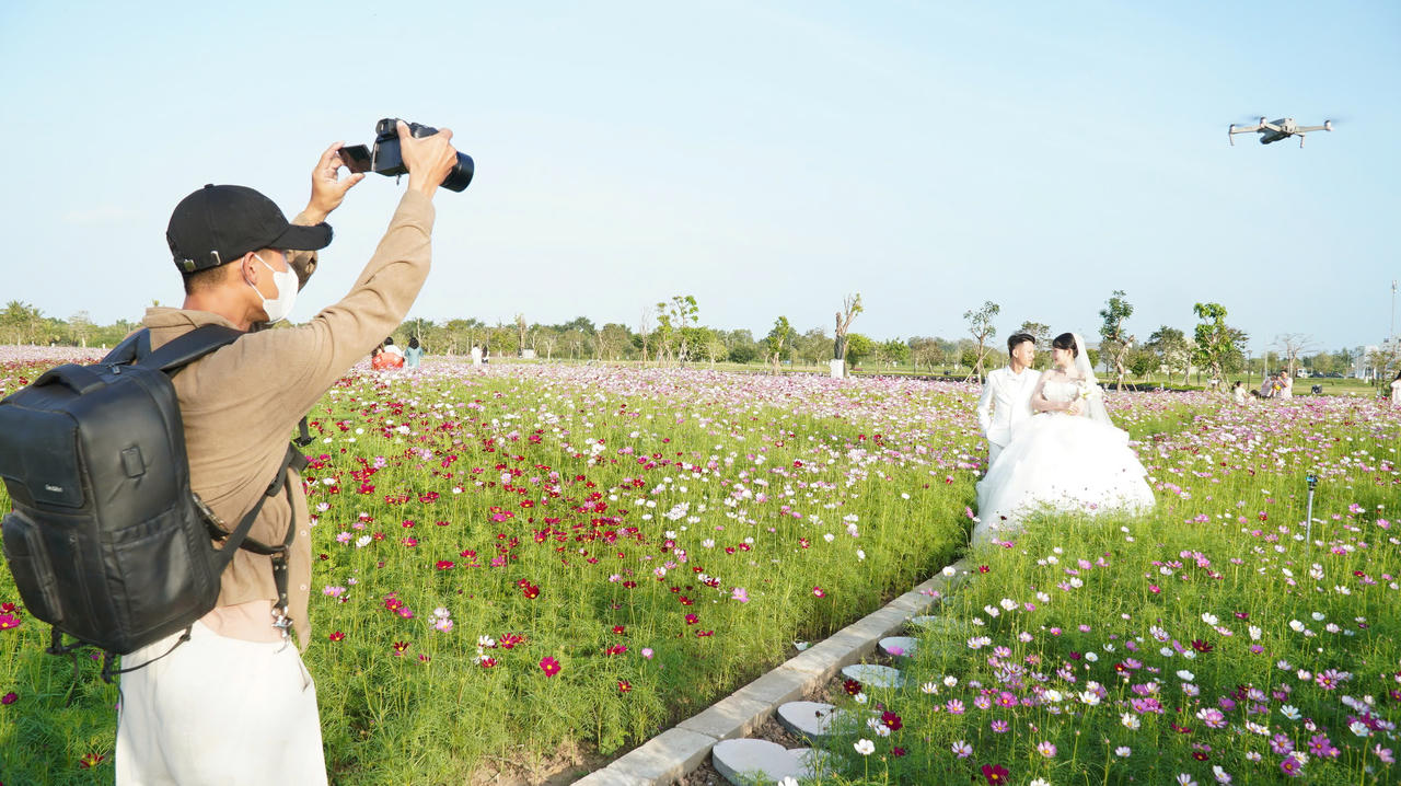 Vườn hoa sao nhái trở thành điểm check-in, chụp ảnh cưới thu hút đông đảo du khách.