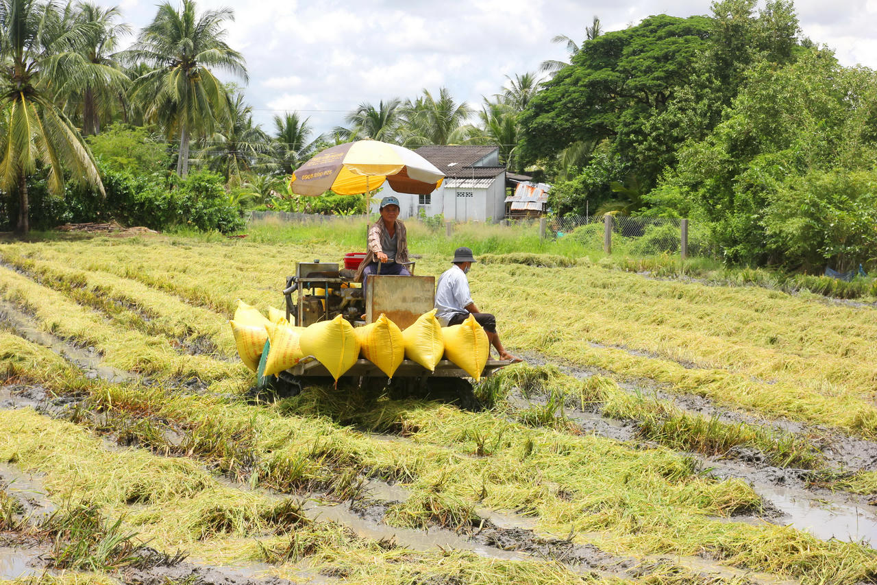 Nông nghiệp xã Hưng Hội tiếp tục khẳng định vai trò nền tảng, là trụ đỡ quan trọng của kinh tế địa phương; qua đó tạo động lực phát triển nông nghiệp bền vững, nâng cao chất lượng xây dựng nông thôn mới và bảo đảm an sinh xã hội trong thời gian tới.