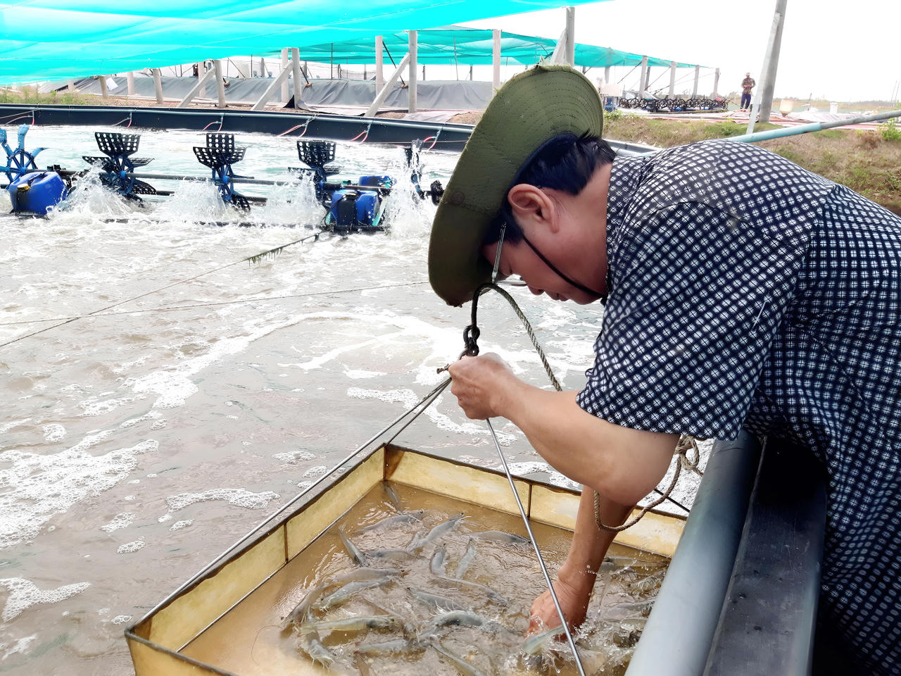 Xã Định Thành phấn đấu đến năm 2026, tổng sản lượng thủy sản đạt 25.000 tấn, trong đó tôm 20.000 tấn; mở rộng 500 ha nuôi theo chuỗi liên kết.