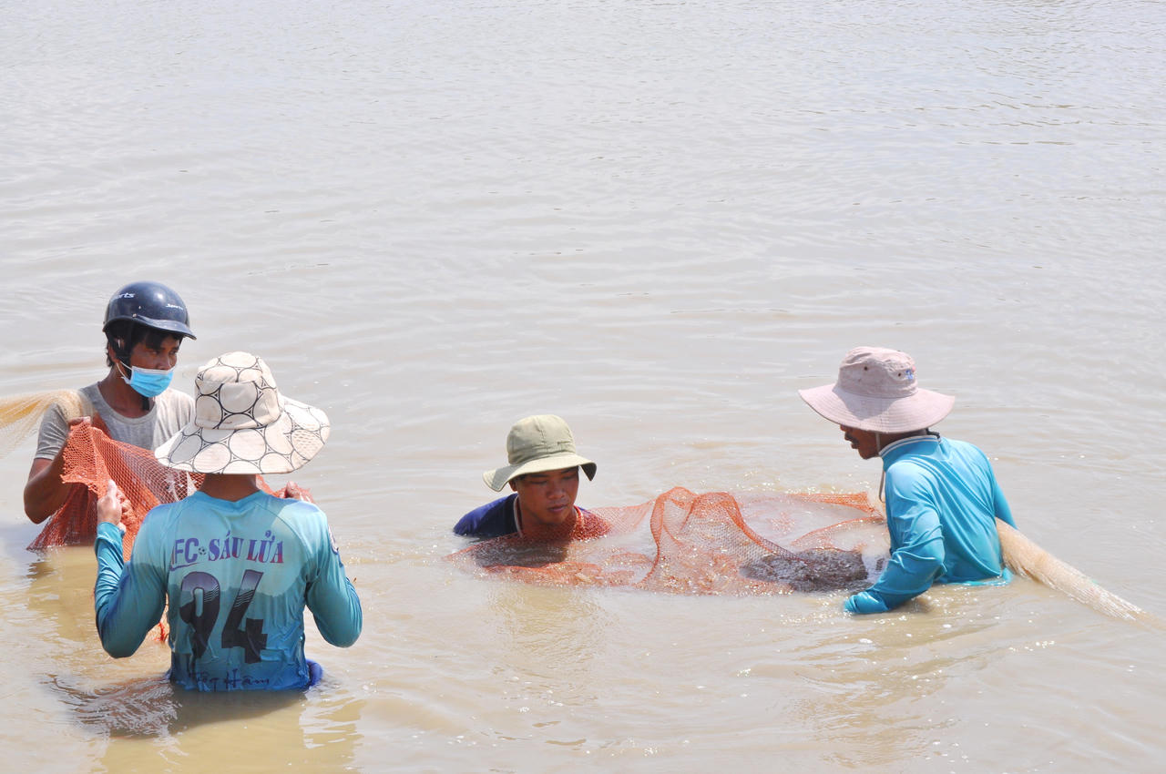 Nuôi trồng thủy sản giữ vai trò chủ lực, đạt 7.074 ha, sản lượng 43.377 tấn vượt 21% kế hoạch; riêng tôm đạt 39.033 tấn, tăng mạnh nhờ nuôi thâm canh, siêu thâm canh ứng dụng khoa học – kỹ thuật.