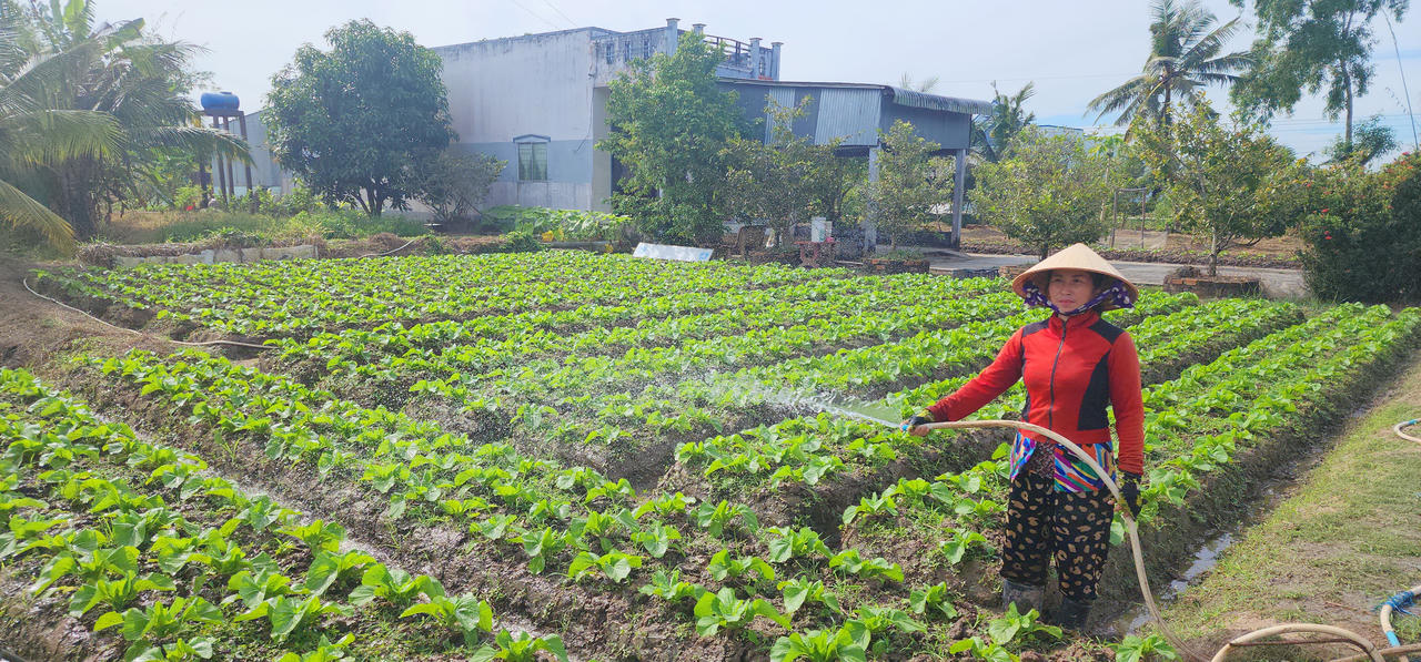 Xã U Minh (Cà Mau) nỗ lực vượt khó, hoàn thành và vượt nhiều chỉ tiêu Nghị quyết