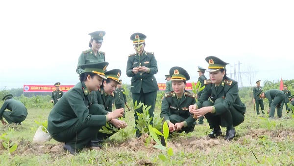Gieo màu xanh đầu Xuân nơi tuyến đầu Tổ quốc