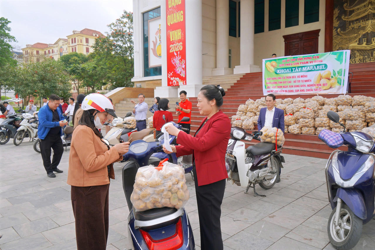 Xã Vũ Thư đã phối hợp tiêu thụ được 4,5 tấn khoai tây.