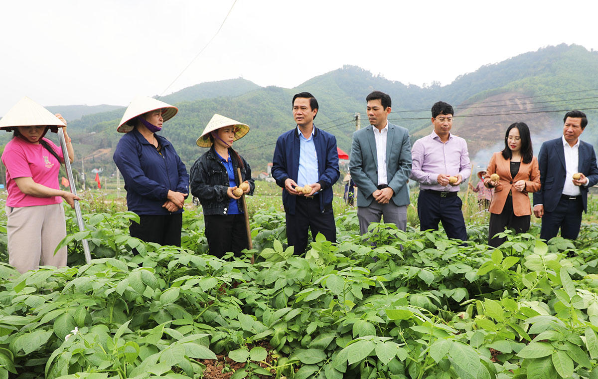 Lãnh đạo tỉnh Bắc Ninh thăm, động viên sản xuất đầu xuân 
