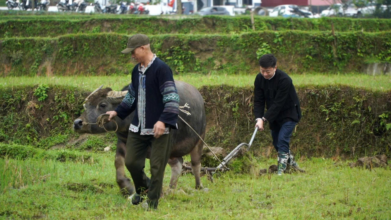 Đồng bào các dân tộc tỉnh Lào Cai rộn ràng vui lễ xuống đồng đầu xuân