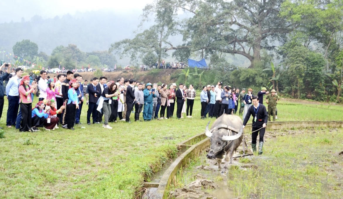 Nghi thức cày ruộng gieo hạt, cầu mong con người sức khỏe, cây cối tốt tươi, mùa màng bội thu.
