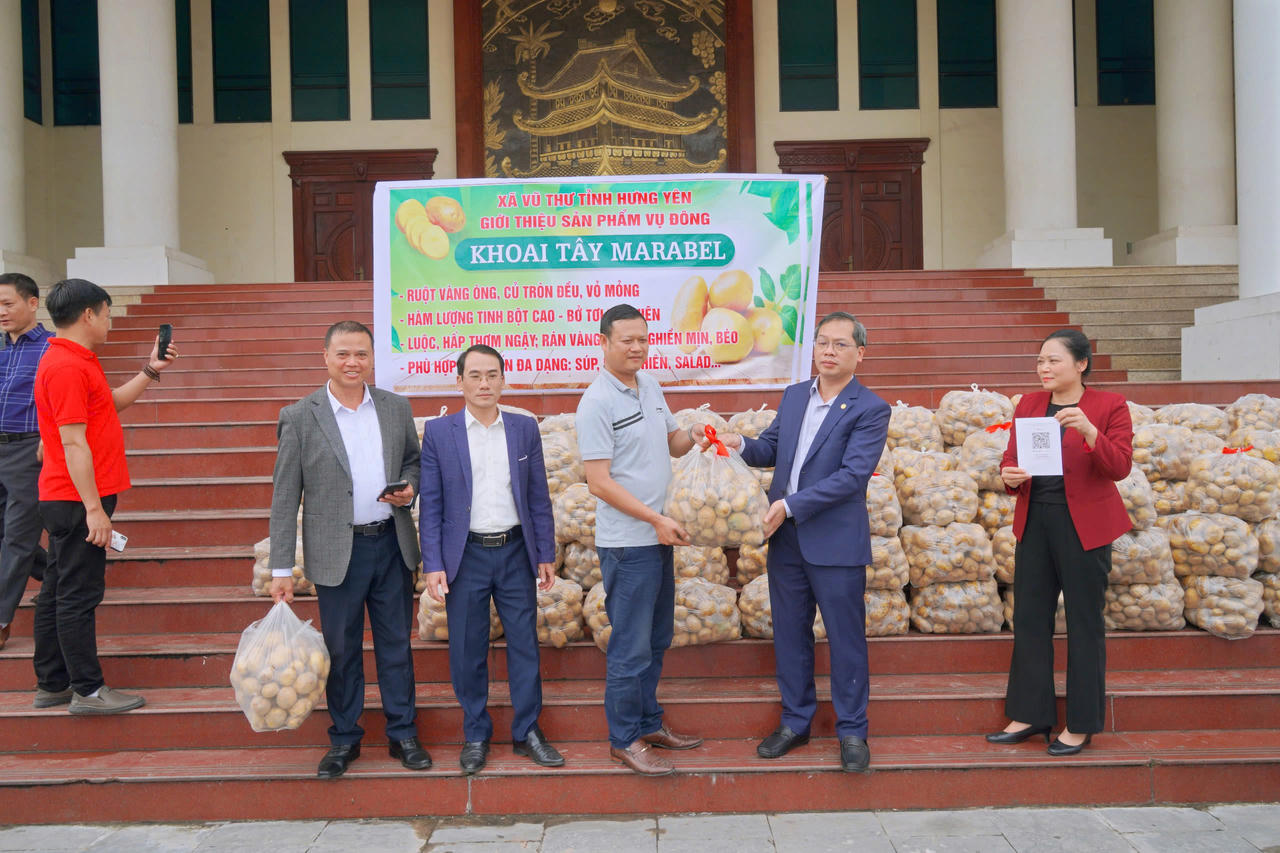 Lãnh đạo xã ở Hưng Yên livestream bán 4,5 tấn khoai tây giúp bà con nông dân