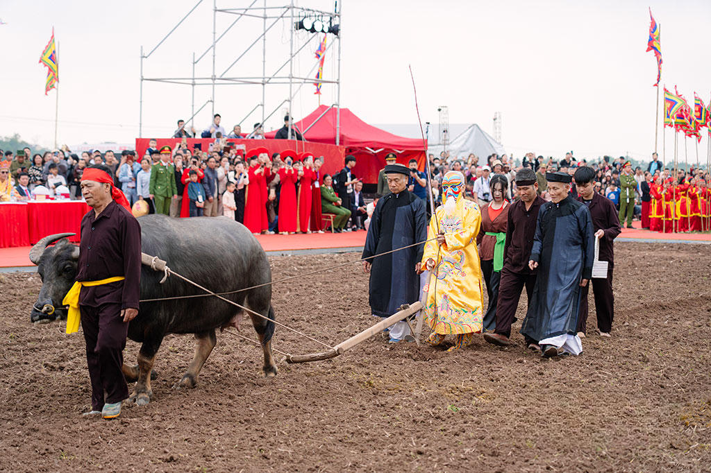 Ông Nguyễn Ngọc An (phường Tiên Sơn) vào vai vua Lê Đại Hành xuống đồng cày ruộng đầu năm với bà con (Ảnh: Nguyễn Huy)