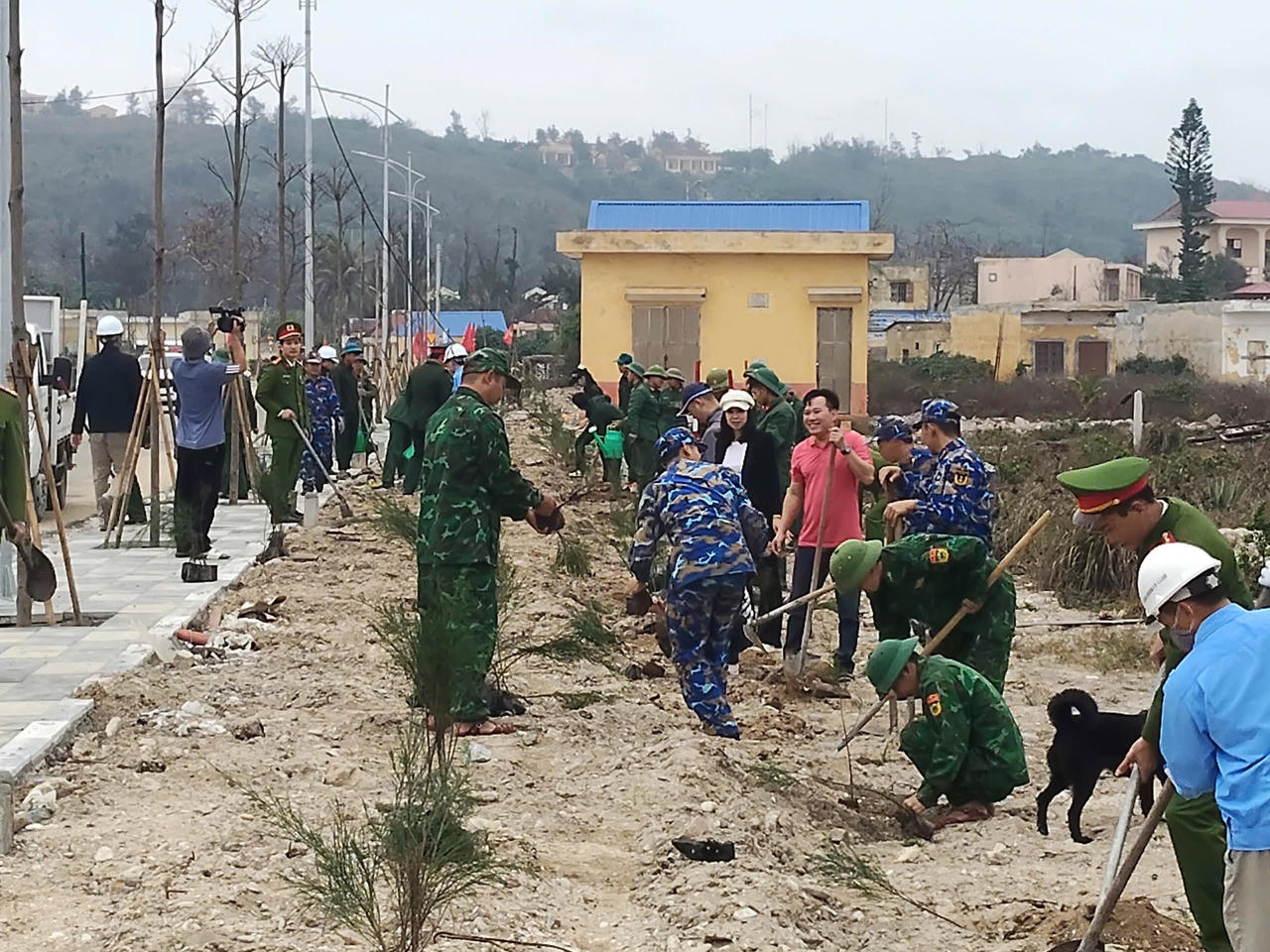 Hải Phòng đồng loạt phát động “Tết trồng cây đời đời nhớ ơn Bác Hồ” xuân Bính Ngọ