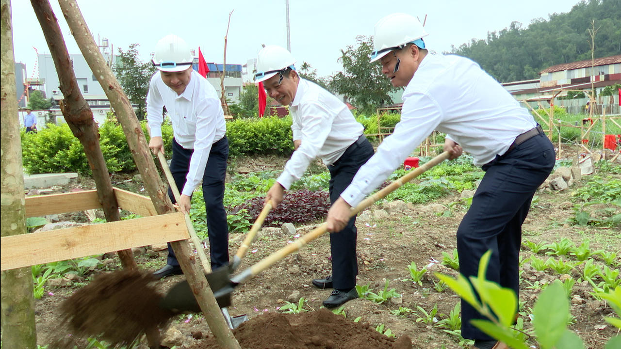Hải Phòng đồng loạt phát động “Tết trồng cây đời đời nhớ ơn Bác Hồ” xuân Bính Ngọ