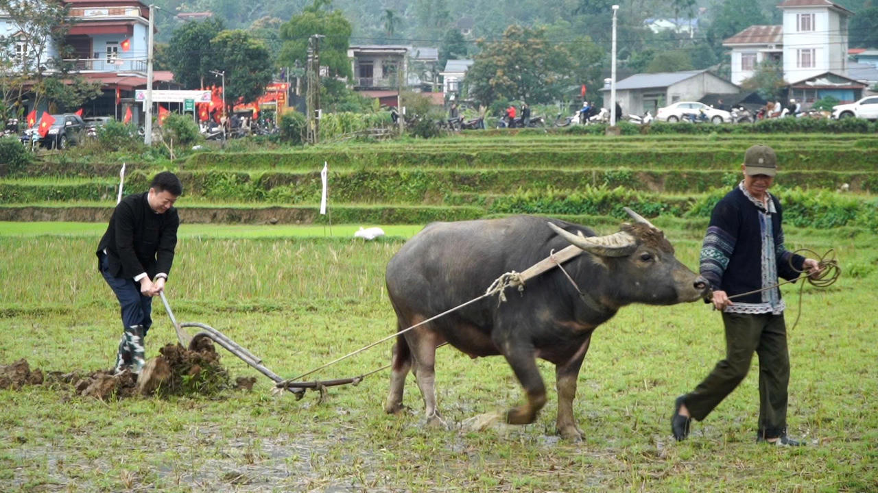 Ngay sau khai mạc, lễ cày khai hội được tổ chức trong không khí phấn khởi, mở đầu cho mùa sản xuất mới với niềm tin mưa thuận gió hòa, mùa màng thắng lợi. 