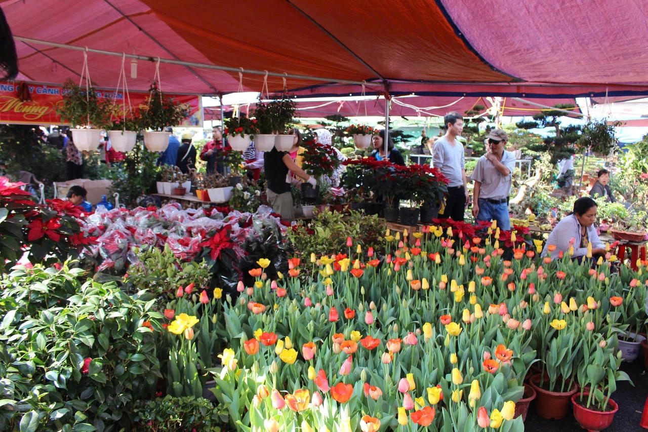 Một góc chợ hoa, cây lộc.