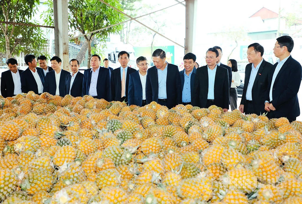 Bí thư Tỉnh ủy Ninh Bình Đặng Xuân Phong và đoàn công tác kiểm tra, động viên sản xuất đầu Xuân tại Công ty cổ phần Thực phẩm xuất khẩu Đồng Giao. (Ảnh: Nguyễn Thơm)