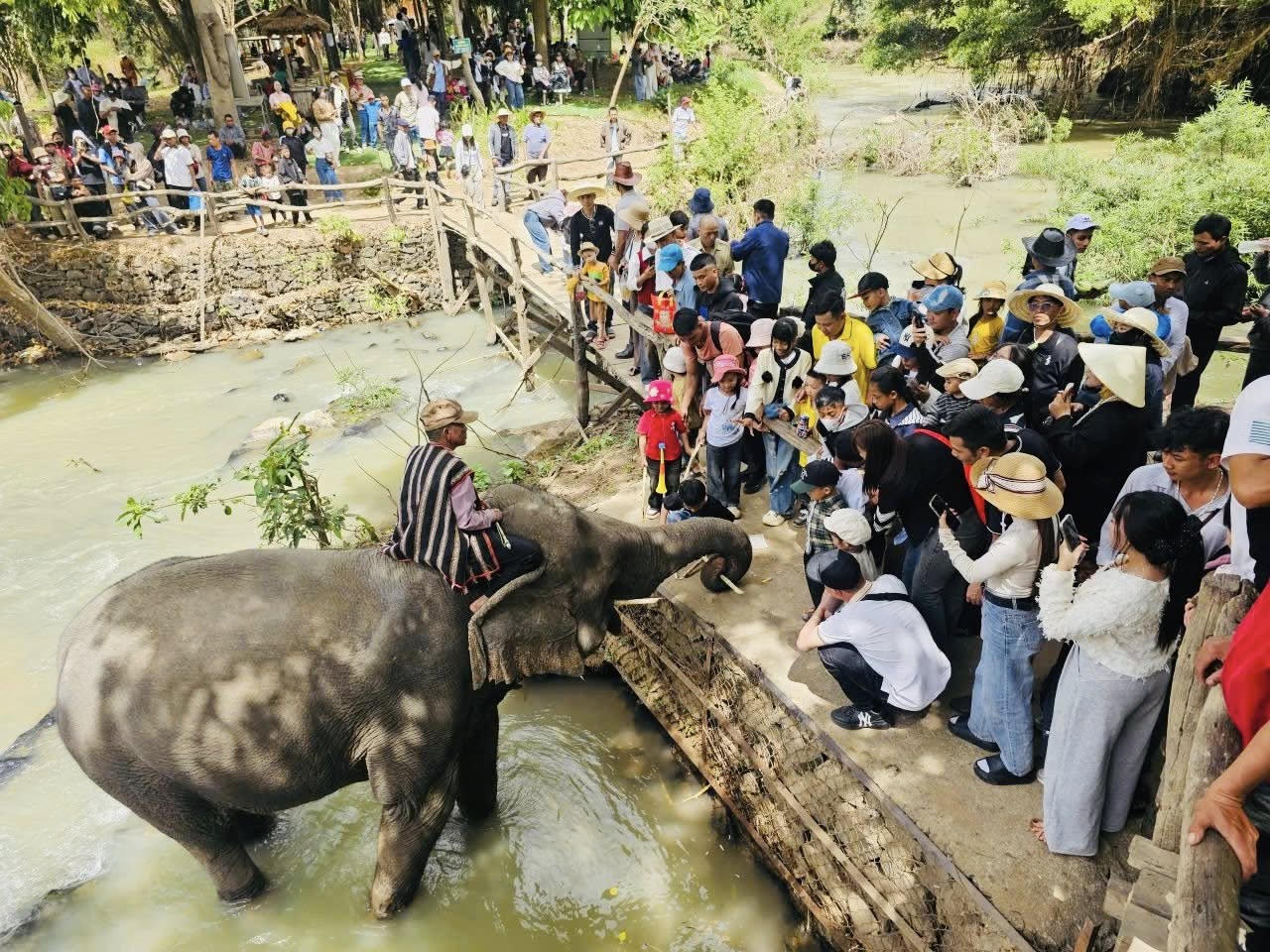 Trải nghiệm du lịch thân thiện với voi tại Bản Đôn