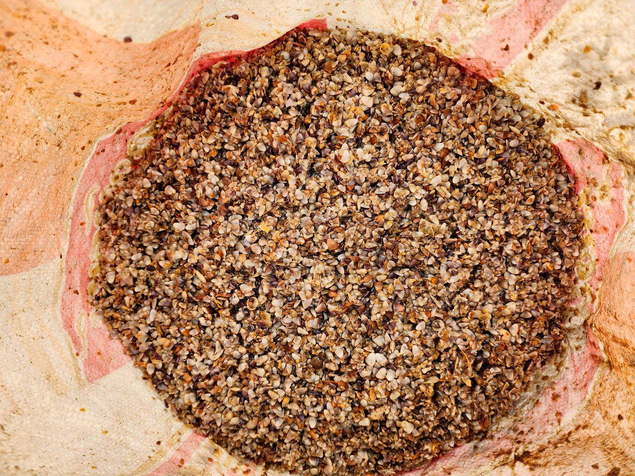 &nbsp;Theo ngư dân ở đây, ốc tép được thương lái thu mua chủ yếu để xay làm thức ăn phục vụ chăn nuôi thủy sản, tôm hùm, giá mua tại bờ biển khoảng 3.000 đồng/kg, có bao nhiêu thương lái mua hết bấy nhiêu.