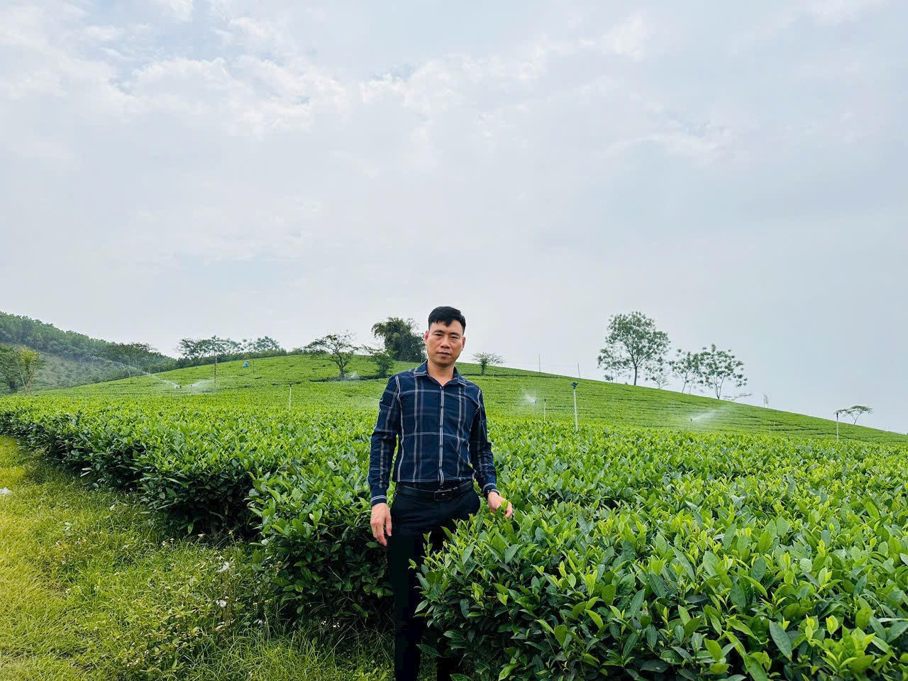 Ông Nguyễn Công Sử, Giám đốc HTX Sử Anh. (Ảnh: NVCC)