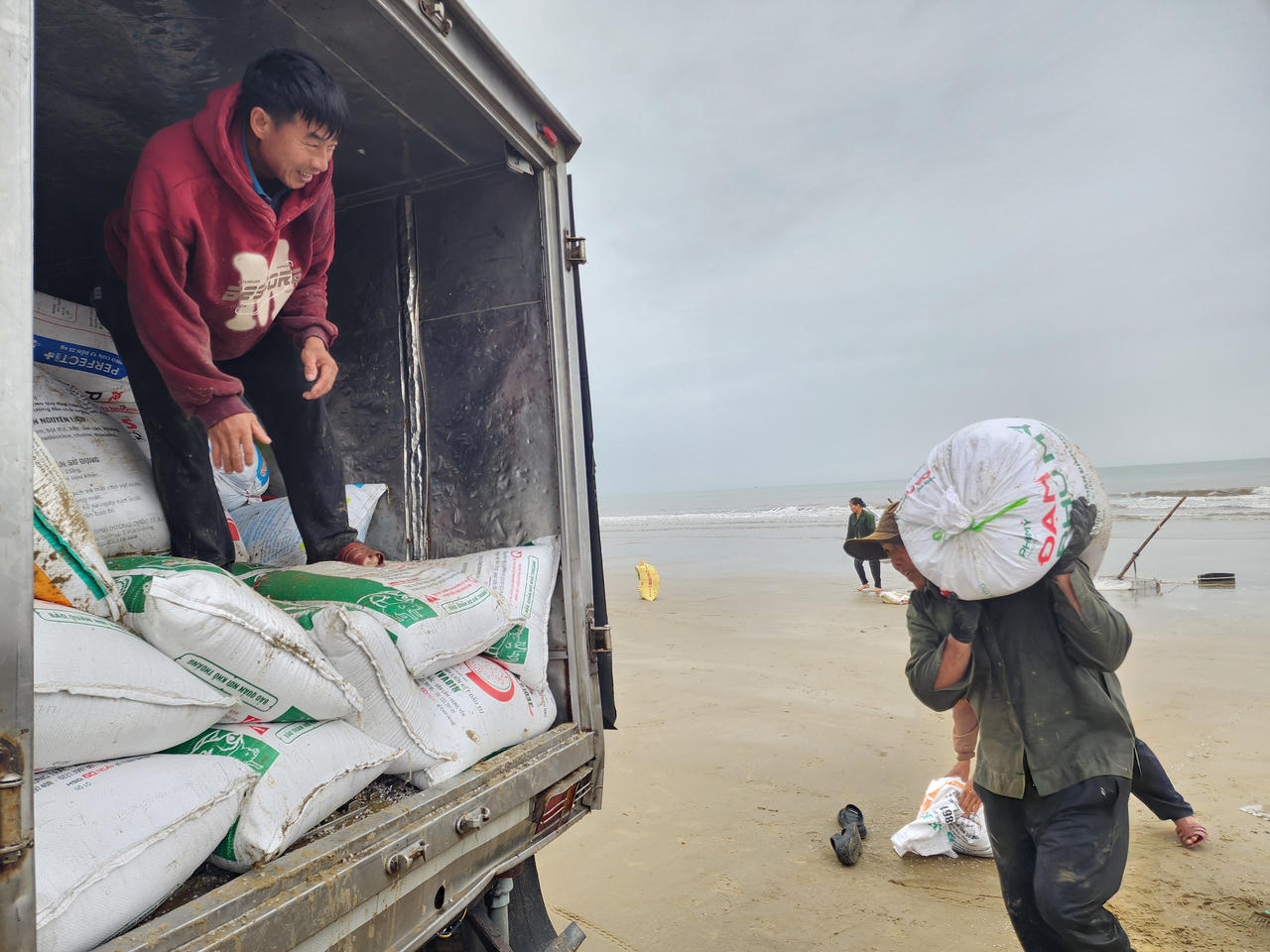 Hiện tượng ốc tép dạt vào bở biển cũng từng xuất hiện các năm trước, nhưng năm nay lượng xuất hiện nhiều hơn.
