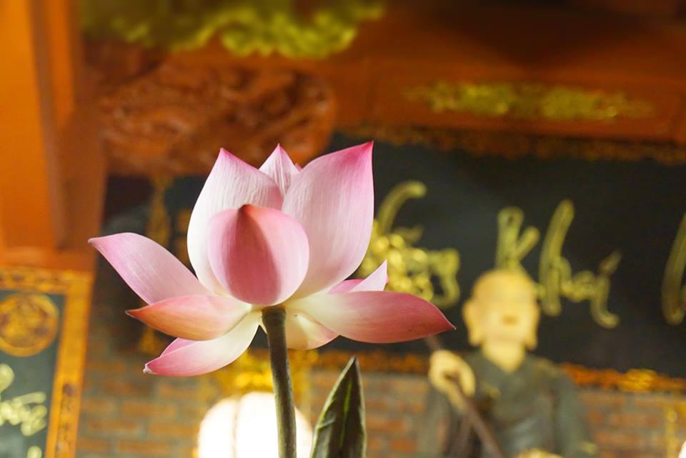 Đầu năm thiết lập một 