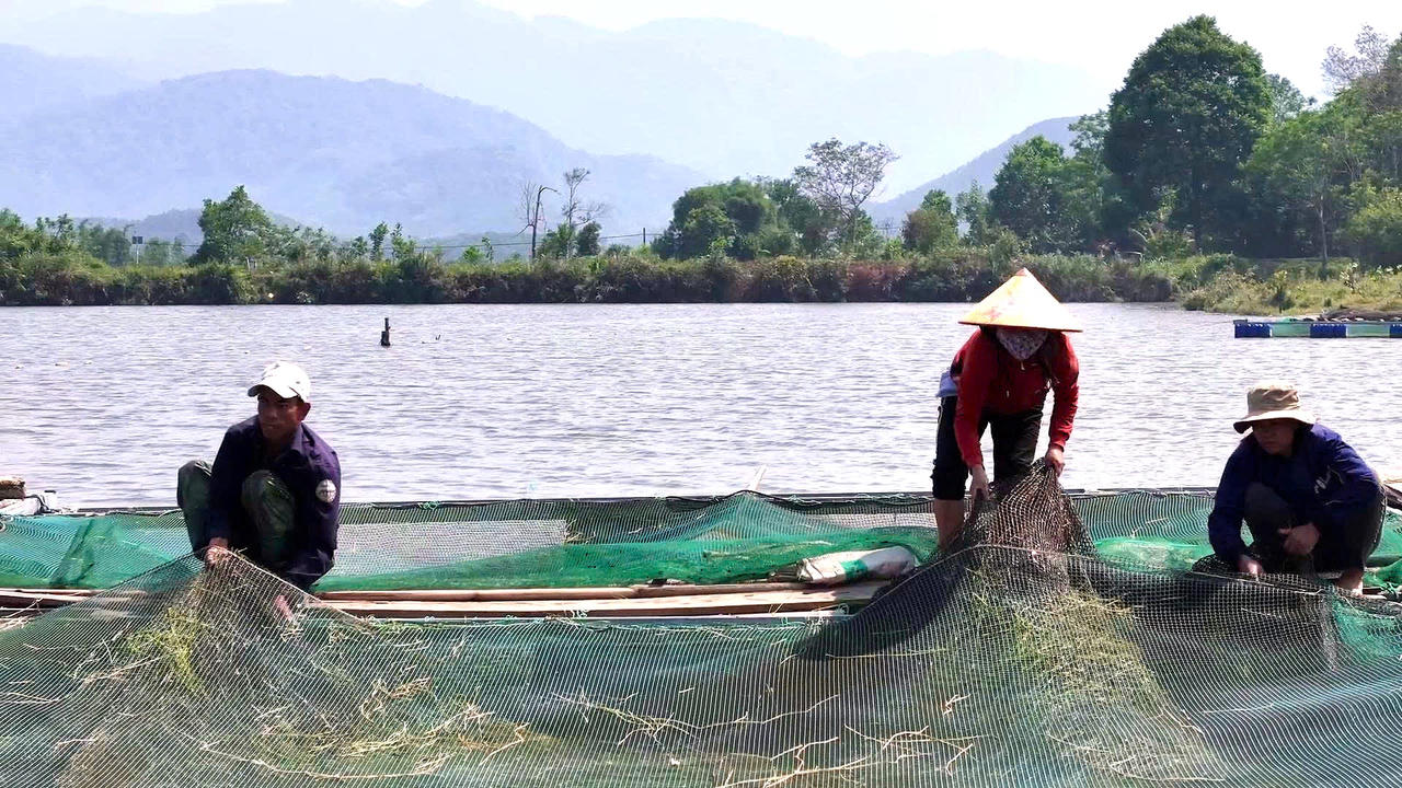 Người dân vùng cao TP Huế phát triển kinh tế nhờ nuôi cá lồng trên sông A Sáp