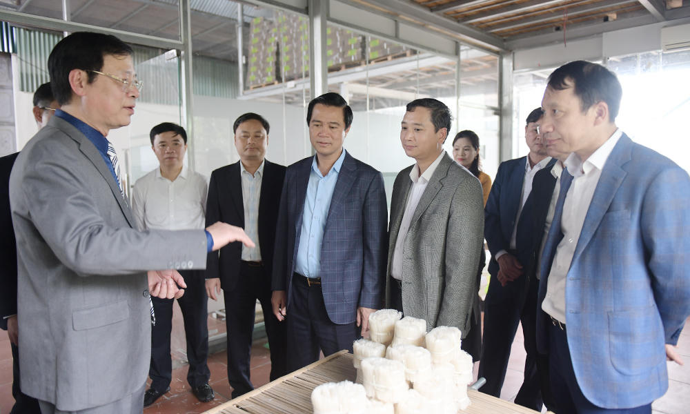 Các thành viên đoàn công tác thăm Hợp tác xã sản xuất mỳ Chũ Bảo Lộc, phường Chũ.