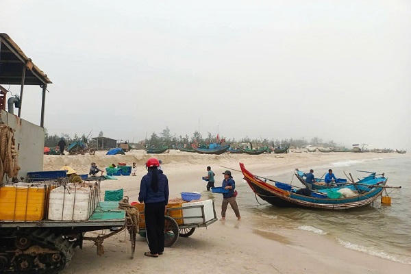 Một xã biển ở Quảng Trị liên tục trúng đậm mực, cá đầu năm, sản lượng hàng chục tấn