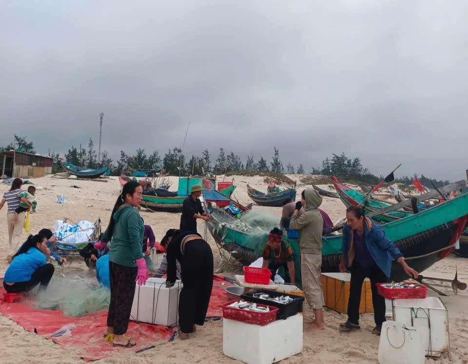 Một xã biển ở Quảng Trị liên tục trúng đậm mực, cá đầu năm, sản lượng hàng chục tấn