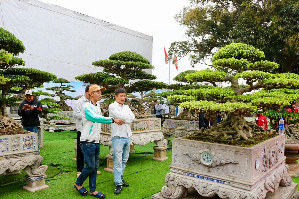 Đông đảo Nhân dân và du khách tham quan triển lãm sinh vật cảnh tại lễ hội truyền thống làng nghề hoa cây cảnh Vị Khê. (Ảnh: Minh Thuận)