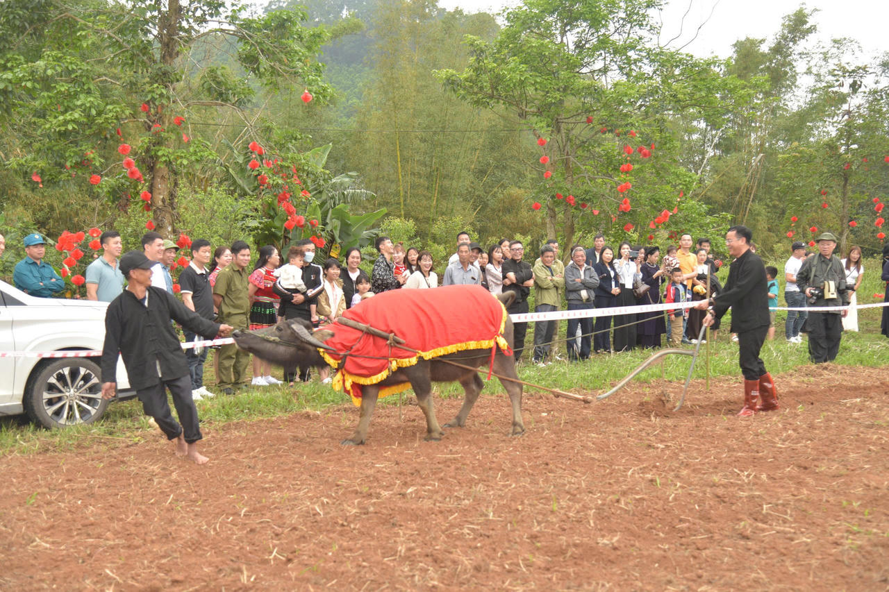 Quảng Ninh: Lễ hội truyền thống bồi đắp niềm tự hào dân tộc