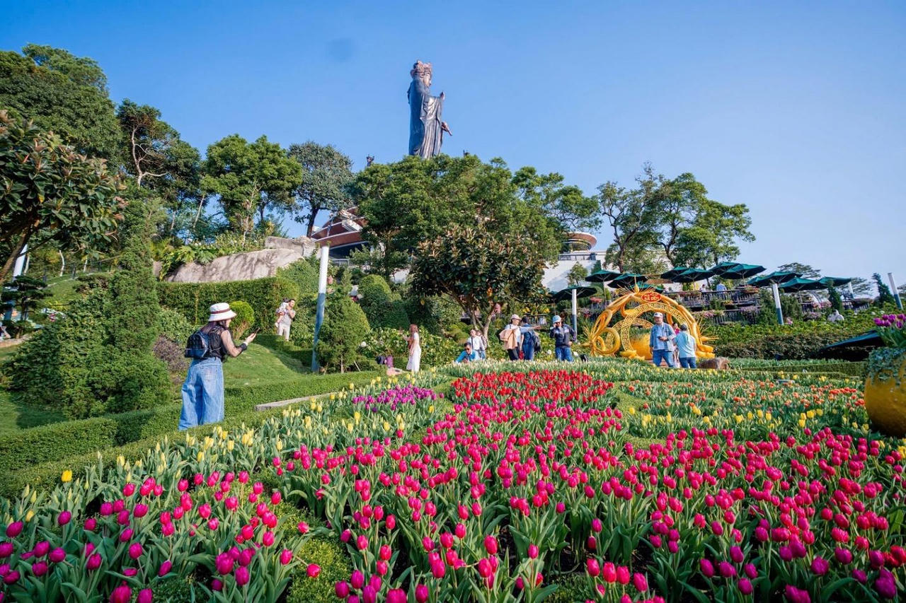 Hơn 120.000 bông hoa tulip khoe sắc, đua nở tạo nên một khung cảnh rực rỡ dưới chân tượng Bà. Ảnh: Sun World Ba Den Mountain.