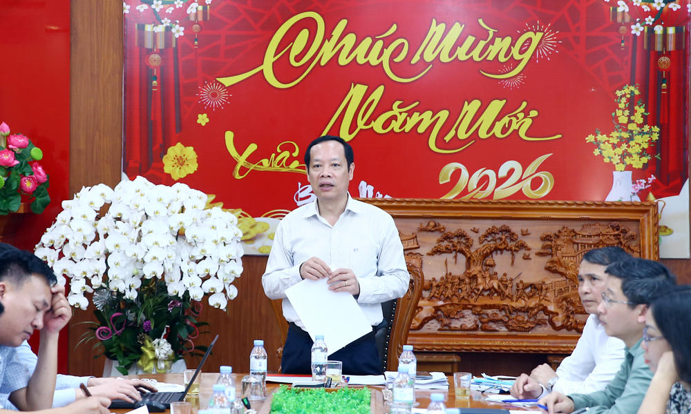 Ông Nghiêm Xuân Hưởng, Phó Chủ tịch HĐND tỉnh kết luận tại hội nghị.