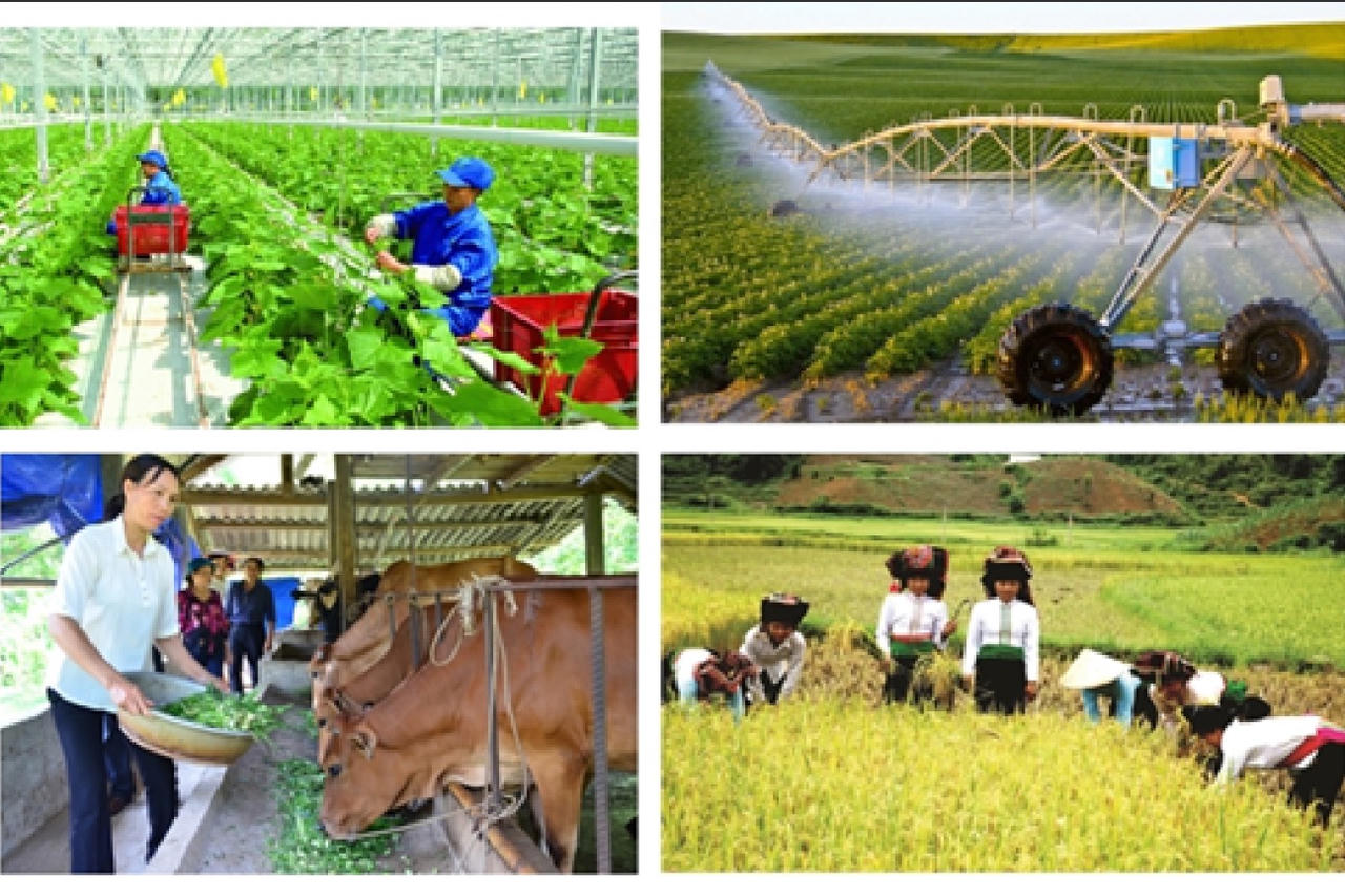 Gỡ “nút thắt” để bảo hiểm nông nghiệp lan tỏa mạnh mẽ hơn