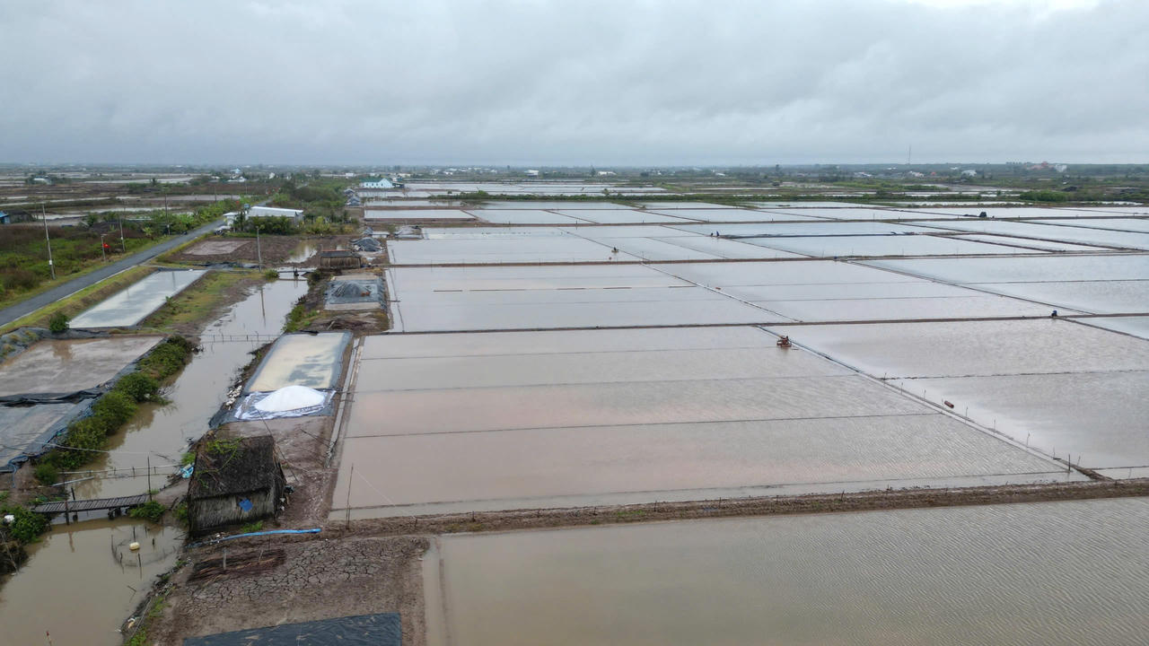Cánh đồng muối ở xã Đông Hải mênh mông nước sau trận mưa trái mùa.