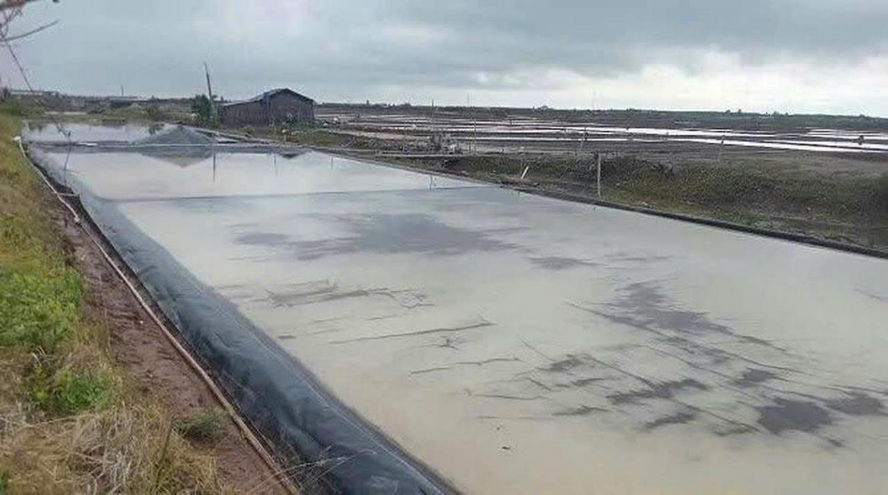 Cà Mau: Mưa trái mùa gây thiệt hại 100% diện tích muối tại xã Đông Hải