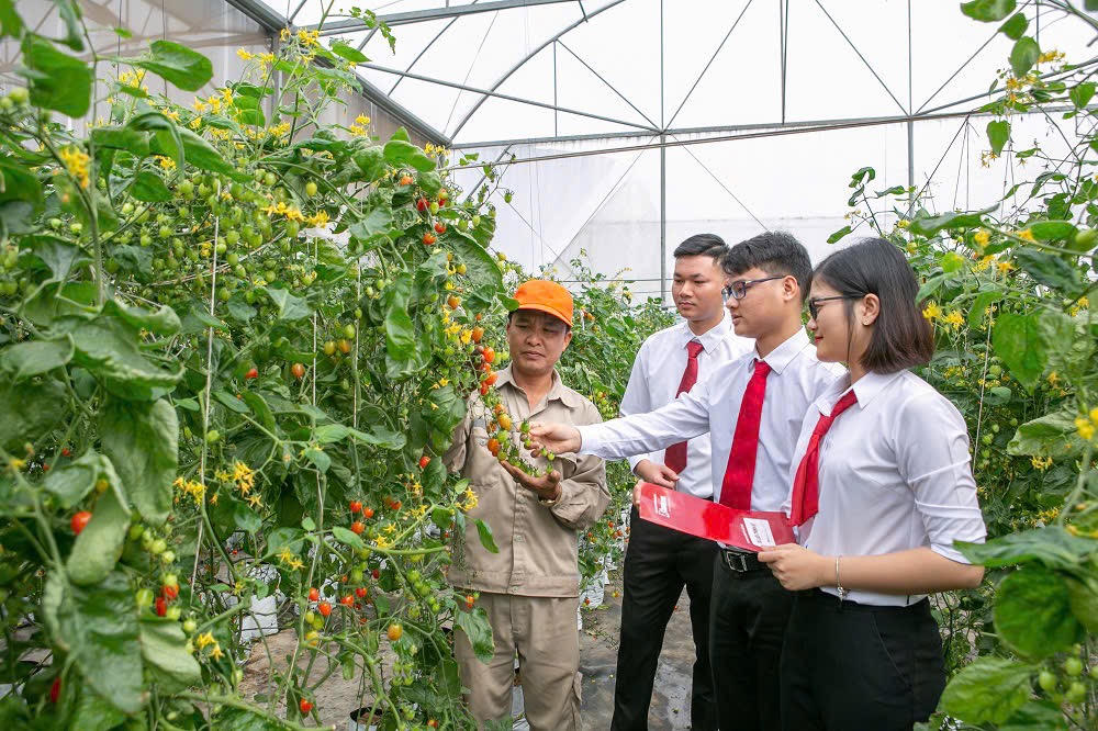 Agribank chủ động và tích cực đầu tư phát triển nông nghiệp xanh