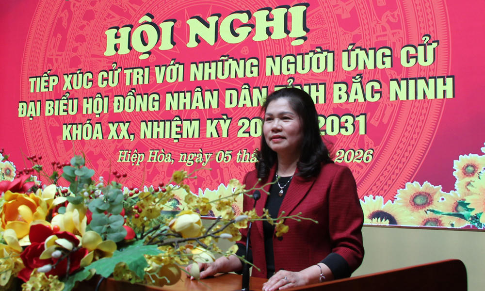 &nbsp;Bà Lâm Thị Hương Thành, Ủy viên Ban Thường vụ Tỉnh ủy, Phó Chủ tịch HĐND tỉnh phát biểu tại hội nghị.