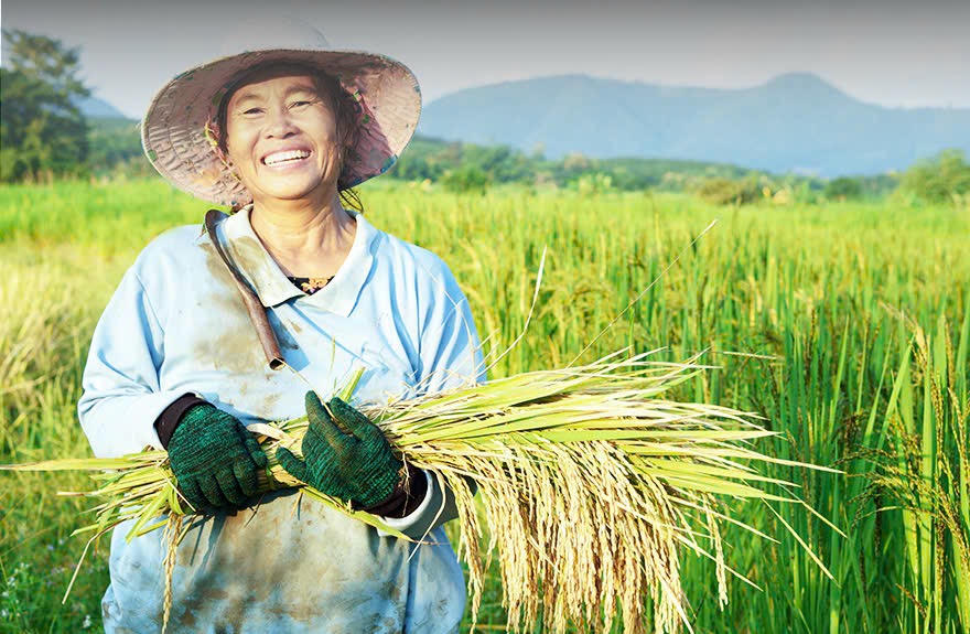 Agribank - Dòng vốn chủ lực đồng hành cùng nông nghiệp Việt Nam bước vào giai đoạn phát triển mới