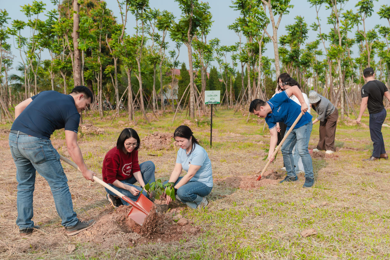 năm 2026 SJ Gruop đặt mục tiêu trường mới 10.000 cây xanh đồng thời xây dựng các vườn hương tại dự án nhằm chủ động nguồn cây