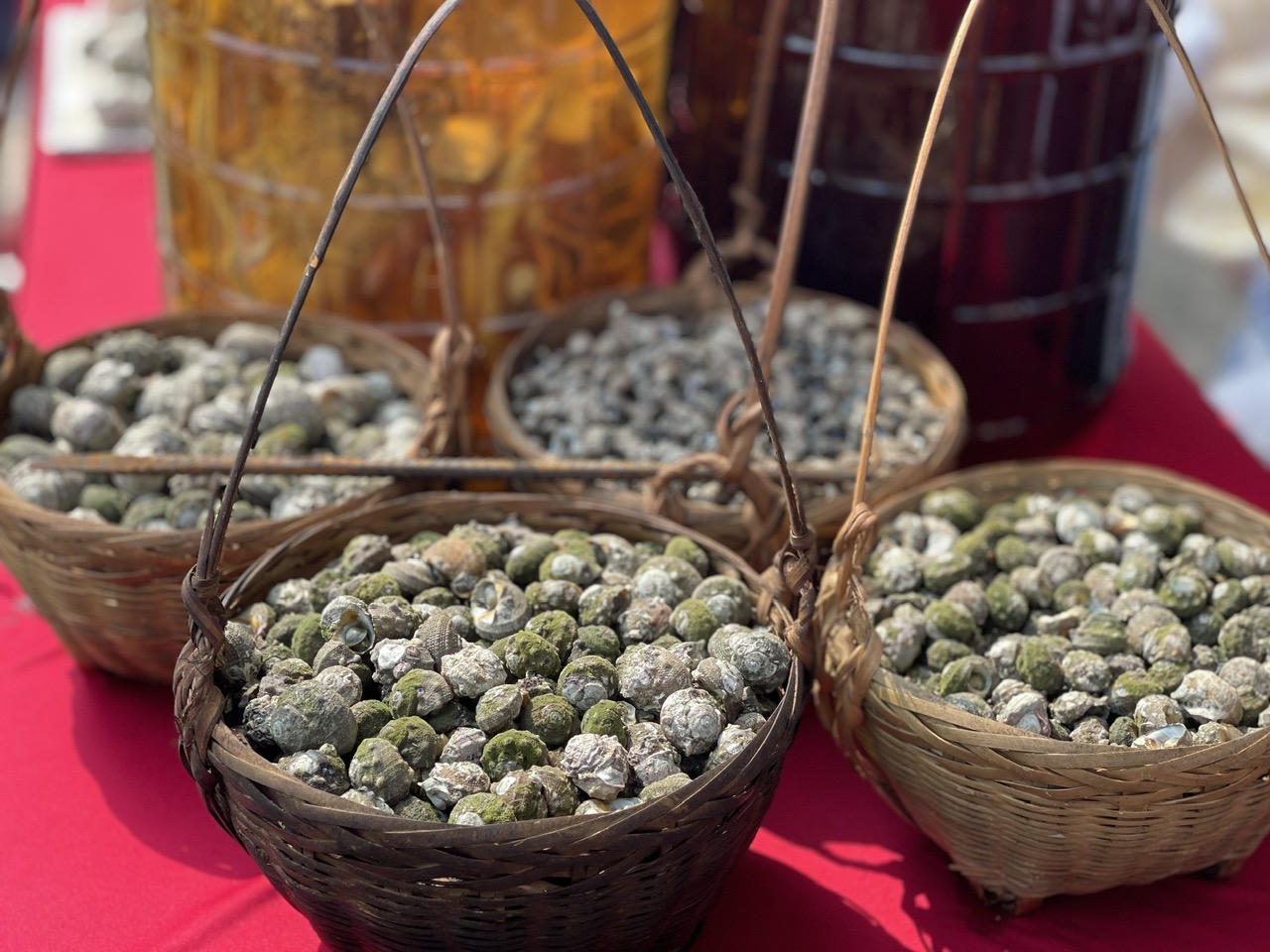 Quảng Ninh: Khai hội đình – miếu Cái Chiên sau 77 năm 