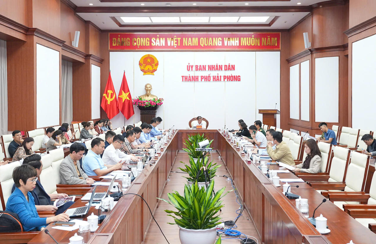 Lễ hội Hoa Phượng Đỏ 2026: “Hải Phòng - Rực đỏ khát vọng vươn xa”