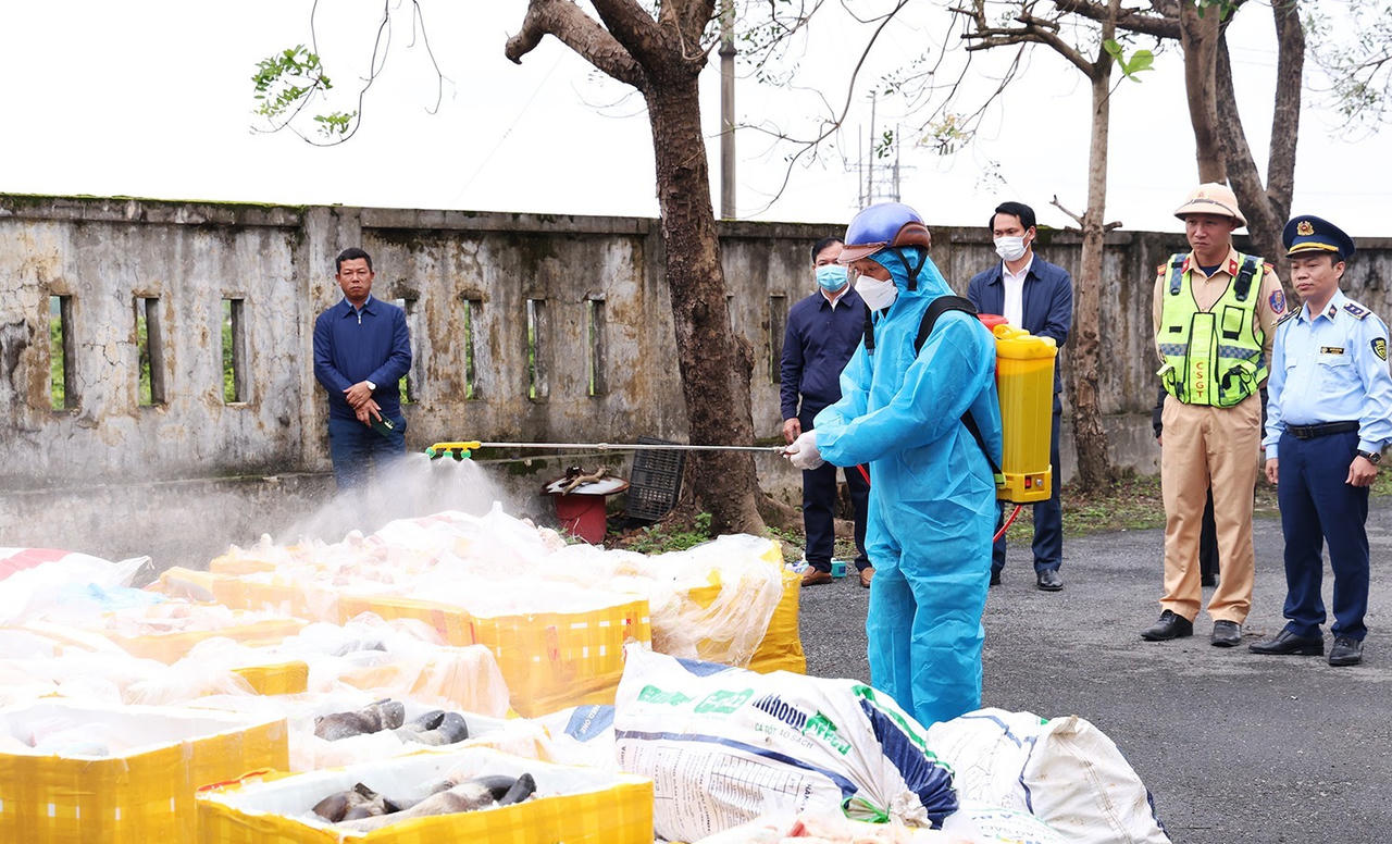 Phát hiện, tiêu hủy hơn 2,6 tấn nội tạng động vật không rõ nguồn gốc