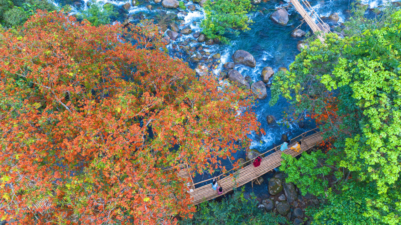 Suối Nước Moọc kiêu sa, vừa thơ mộng bởi mùa hoa Vàng Anh nở rộ.