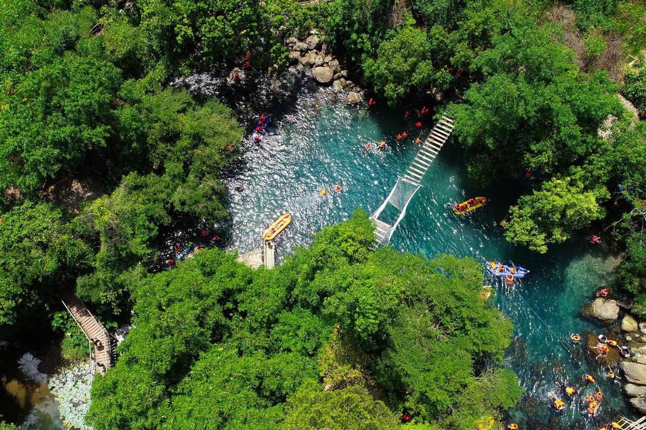 Hoa Vàng Anh khoe sắc giữa lòng Di sản Phong Nha – Kẻ Bàng