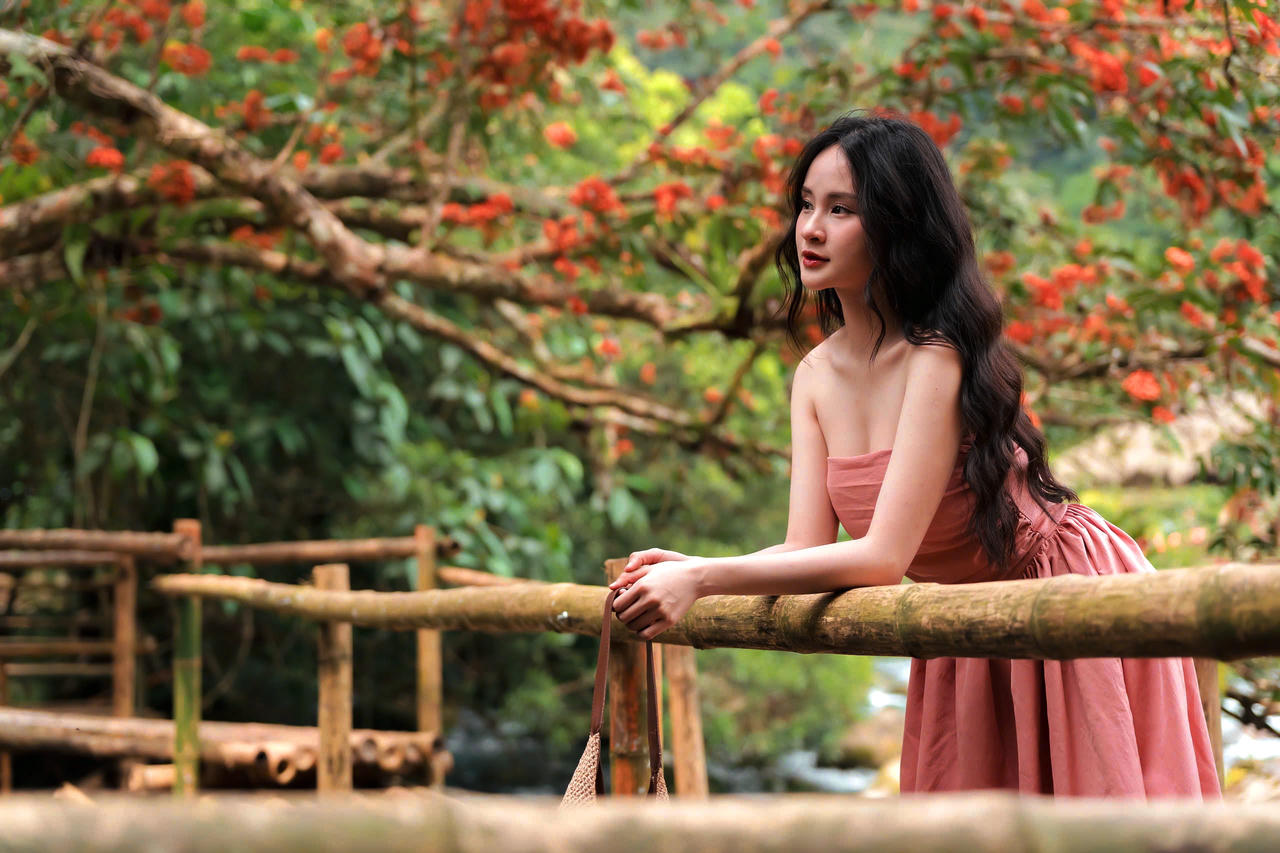 Hoa Vàng Anh khoe sắc giữa lòng Di sản Phong Nha – Kẻ Bàng