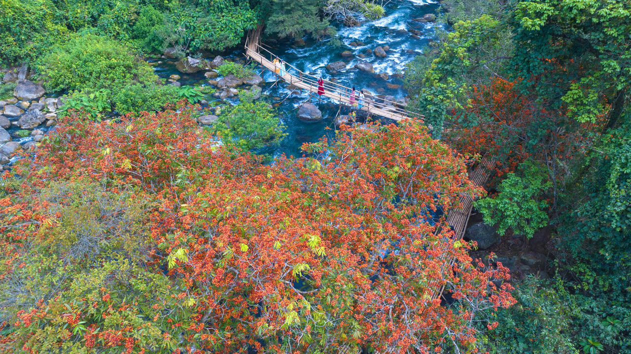 Suối Moọc nh&igrave;n từ tr&ecirc;n cao.