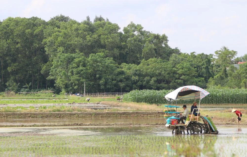 Thanh Hóa chủ động phòng, chống hạn hán, thiếu nước và xâm nhập mặn, đảm bảo nguồn nước phục vụ sinh hoạt và sản xuất.