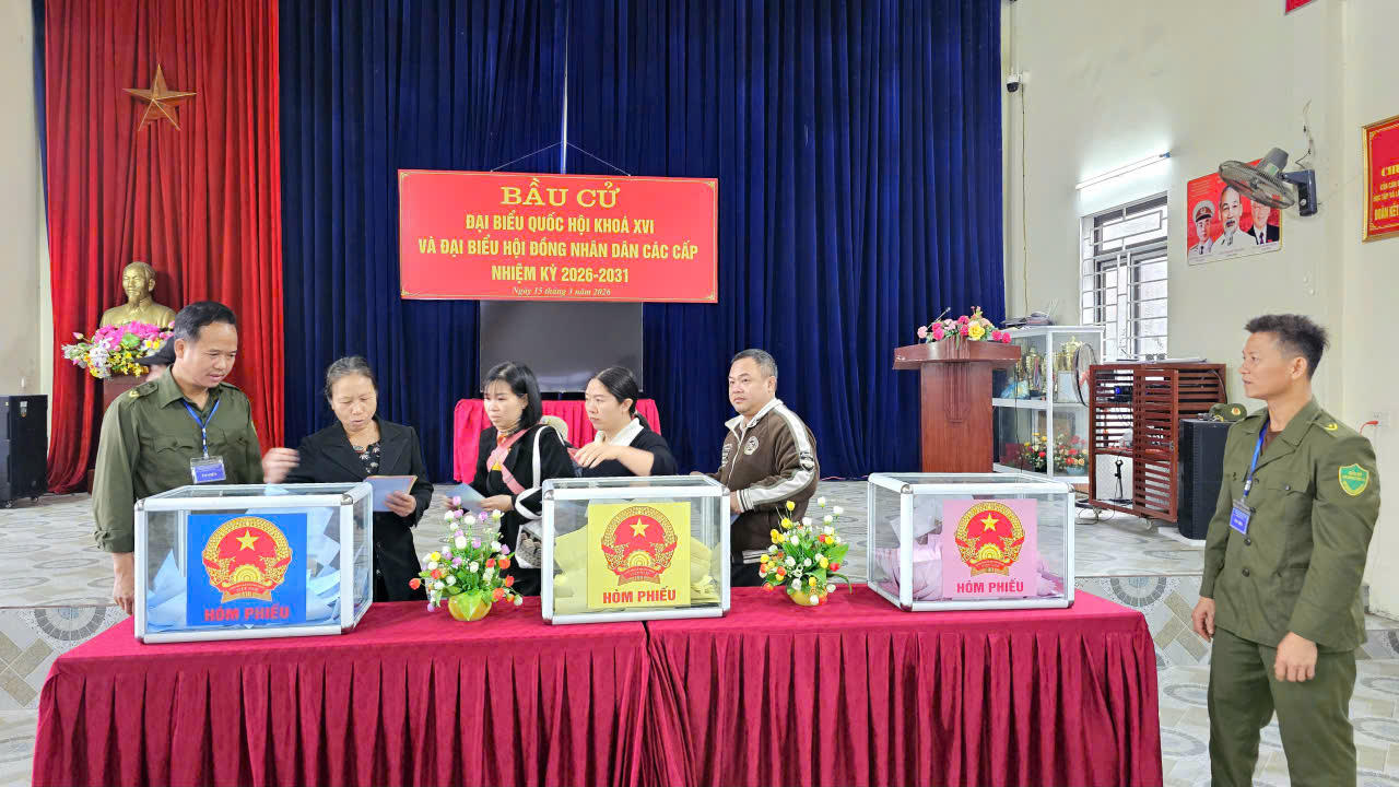 Tại phường Cam Đường, không khí ngày hội bầu cử diễn ra sôi nổi từ sáng sớm. Ở khu vực bầu cử số 15 (tổ dân số Nam Cường).