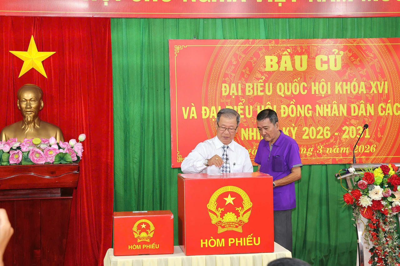 Cử tri tham gia bỏ phiếu.