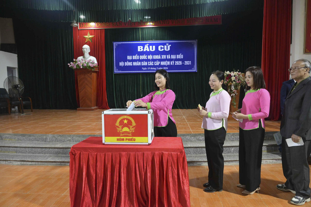 Cử tri tham gia bầu cử.