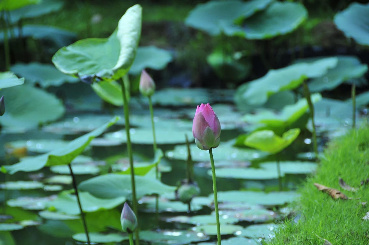 Những điều vô hình chi phối cuộc đời con người 1