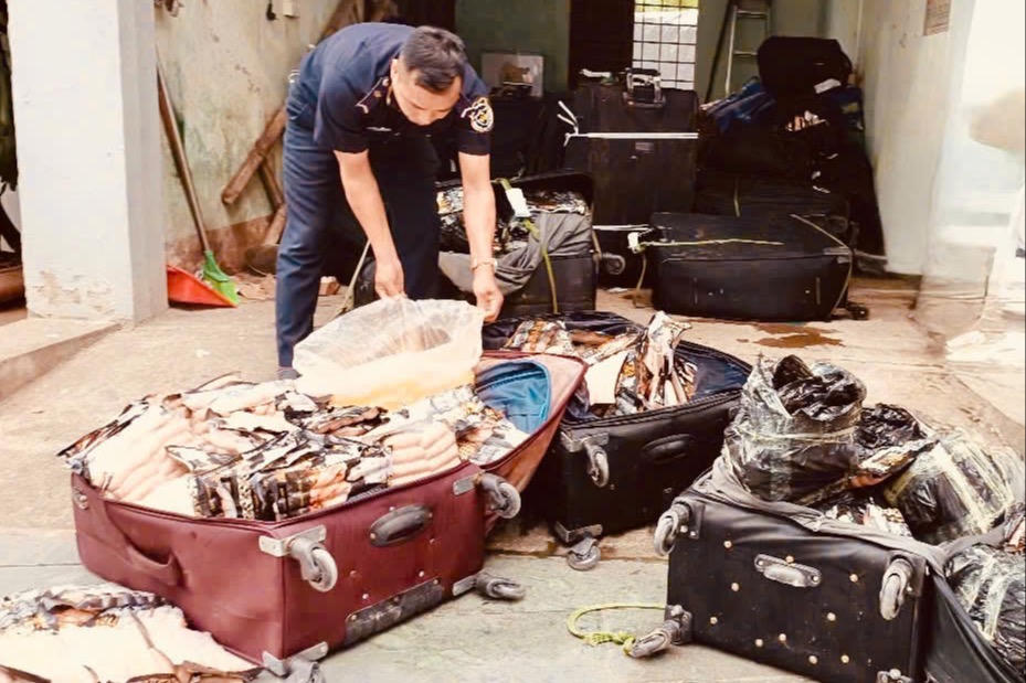 Hải quan liên tiếp phát hiện, bắt giữ hơn 1,8 tấn thực phẩm đông lạnh nhập lậu
